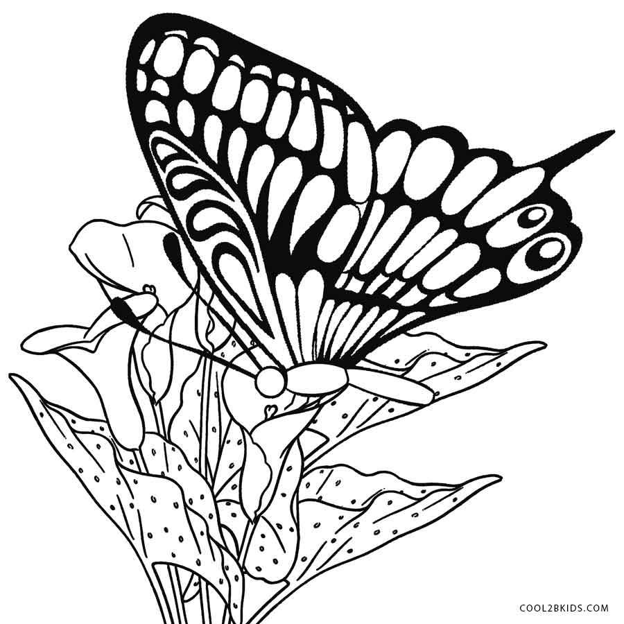 Best ideas about Butterfly Coloring Book
. Save or Pin Printable Butterfly Coloring Pages For Kids Now.
