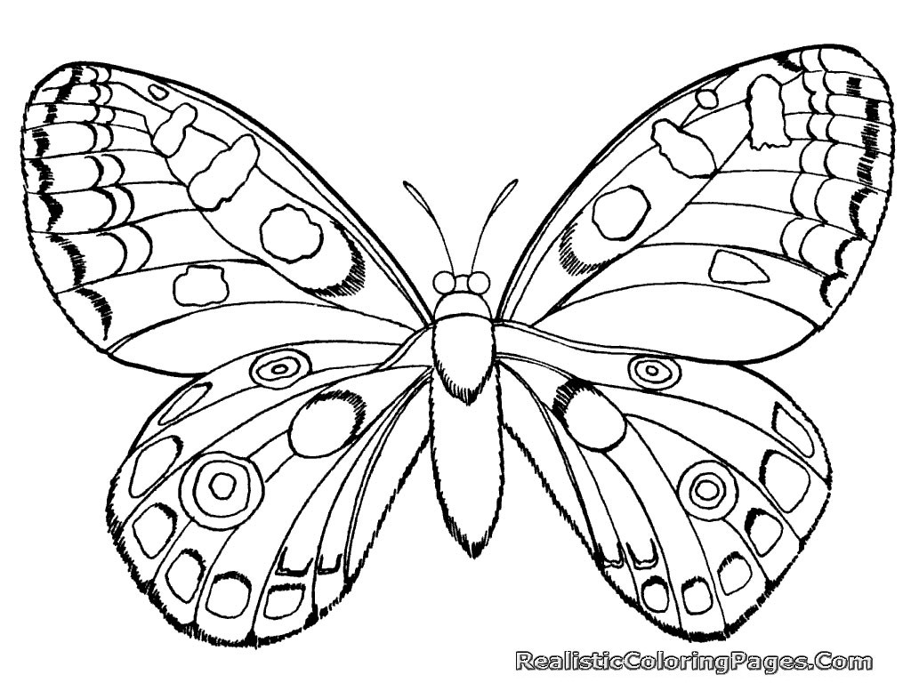 Best ideas about Butterfly Coloring Pages For Girls
. Save or Pin Realistic Insect Coloring Pages Now.