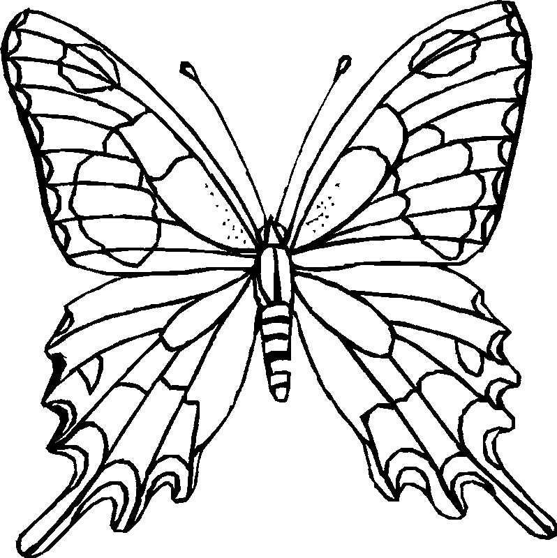 Best ideas about Butterfly Printable Coloring Pages
. Save or Pin Butterfly Coloring Printables for Kids Now.