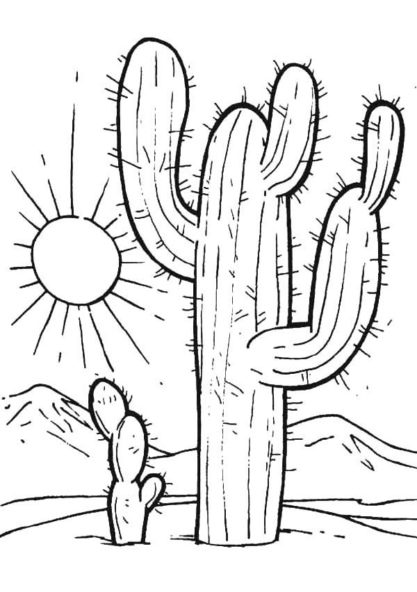 Best ideas about Cactus Coloring Pages For Kids
. Save or Pin Desert Sunset Coloring Pages Cactus at Deser Now.