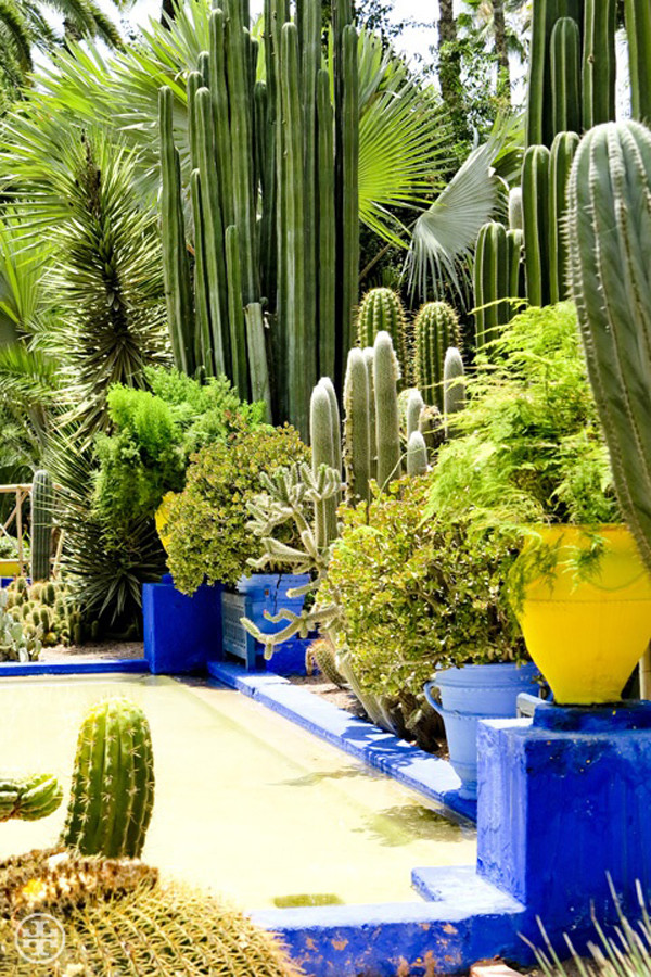 Best ideas about Cactus Garden Ideas
. Save or Pin How To Use Cacti In Outdoor Decor Now.