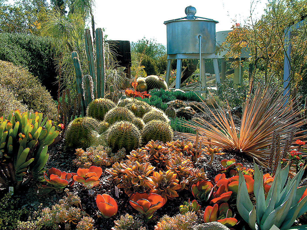 Best ideas about Cactus Garden Ideas
. Save or Pin Succulent Gardens Now.