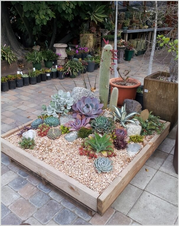 Best ideas about Cactus Garden Ideas
. Save or Pin 13 Beautiful Cactus Garden Ideas Now.