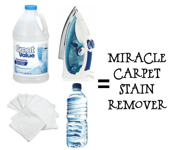 Best ideas about Carpet Stain Remover DIY
. Save or Pin Homemade Carpet Stain Remover…NO Scrubbing Needed Now.