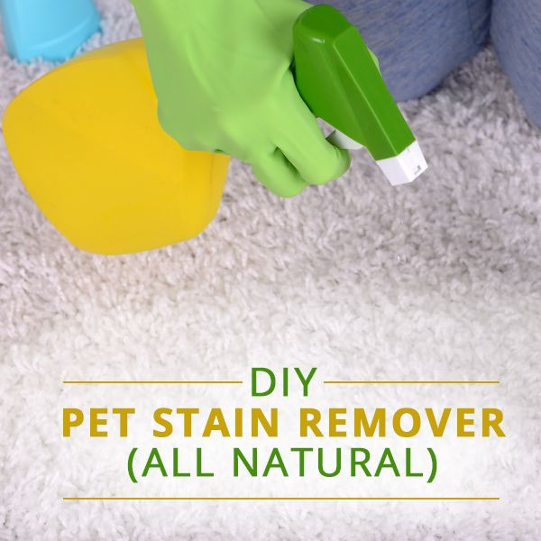 Best ideas about Carpet Stain Remover DIY
. Save or Pin DIY All Natural Pet Stain Remover Now.