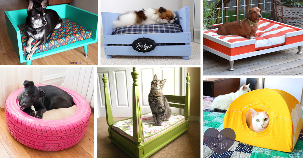 Best ideas about Cat Bed DIY
. Save or Pin 26 Best DIY Pet Bed Ideas and Designs for 2019 Now.