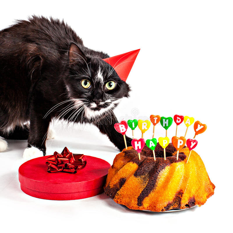 Best ideas about Cat Birthday Gifts
. Save or Pin Cat With Party Hat And Birthday Gifts Stock Image Image Now.