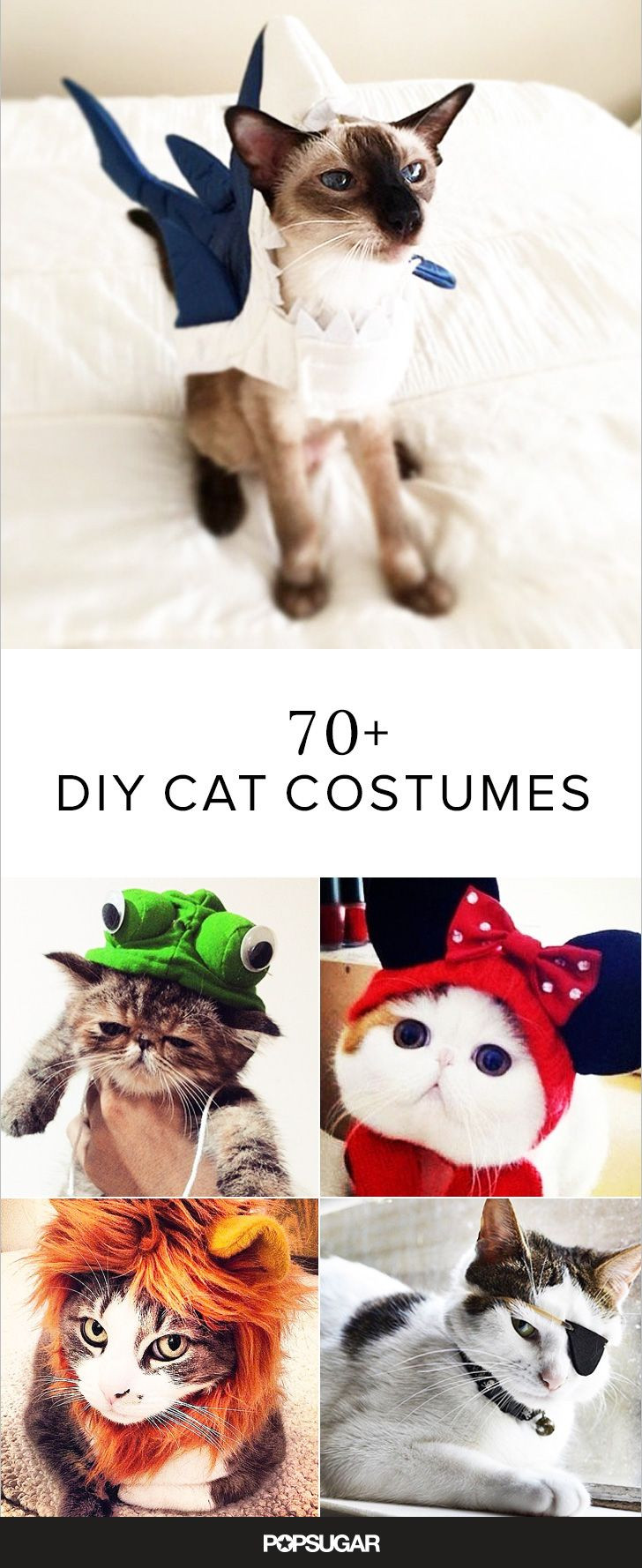 Best ideas about Cat DIY Costume
. Save or Pin 17 Best ideas about Diy Cat Costume on Pinterest Now.