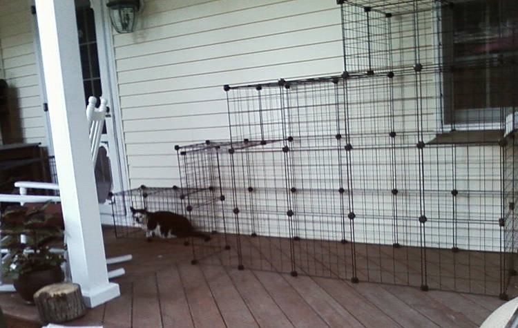 Best ideas about Cat Enclosure DIY
. Save or Pin How to build your own catio from Cat and Caboodle Now.