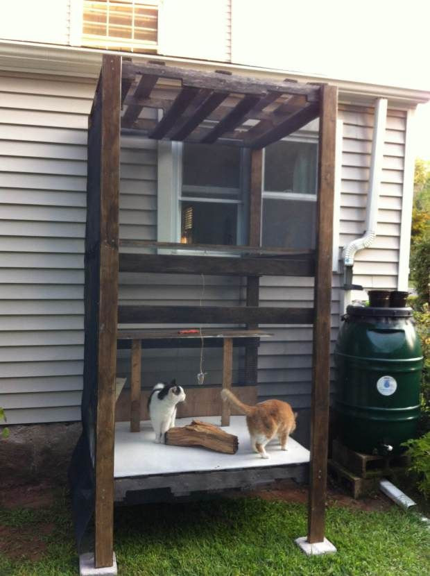 Best ideas about Cat Enclosure DIY
. Save or Pin Best 25 Outdoor cat tree ideas on Pinterest Now.