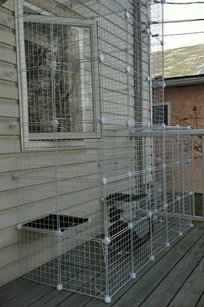 Best ideas about Cat Enclosure DIY
. Save or Pin How to build an outdoor cat run Now.