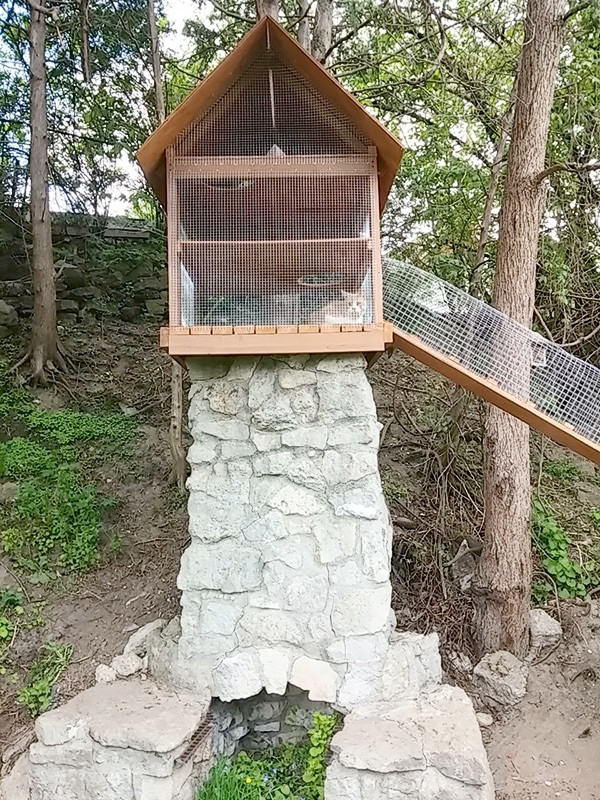 Best ideas about Cat Enclosure DIY
. Save or Pin Another awesome outdoor cat enclosure Cuckoo4Design Now.