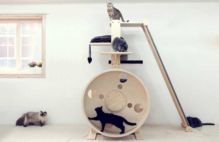 Best ideas about Cat Exercise Wheel DIY
. Save or Pin 5 Incredible Indoor Exercise Wheels for Cats Now.