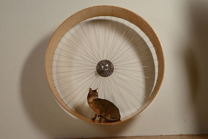 Best ideas about Cat Exercise Wheel DIY
. Save or Pin 5 Incredible Indoor Exercise Wheels for Cats Now.