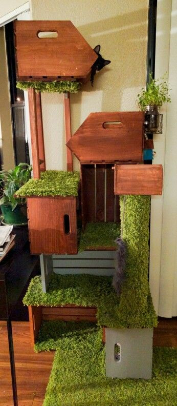 Best ideas about Cat Furniture DIY
. Save or Pin 25 best ideas about Diy cat tree on Pinterest Now.