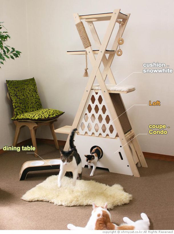 Best ideas about Cat Furniture DIY
. Save or Pin 317 best images about DIY Cat Projects on Pinterest Now.