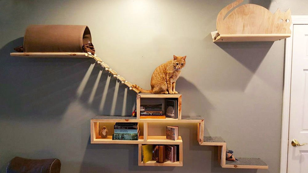 Best ideas about Cat Furniture DIY
. Save or Pin DIY Cat Tree Building Tips and Inspiration Now.