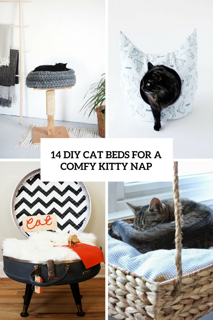 Best ideas about Cat Furniture DIY
. Save or Pin 14 DIY Cat Beds For A fy Kitty Nap Shelterness Now.