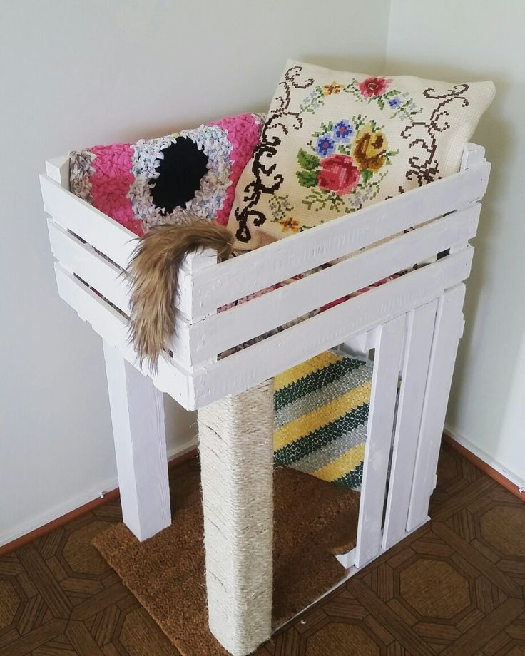 Best ideas about Cat Furniture DIY
. Save or Pin 316 best images about DIY Cat Projects on Pinterest Now.