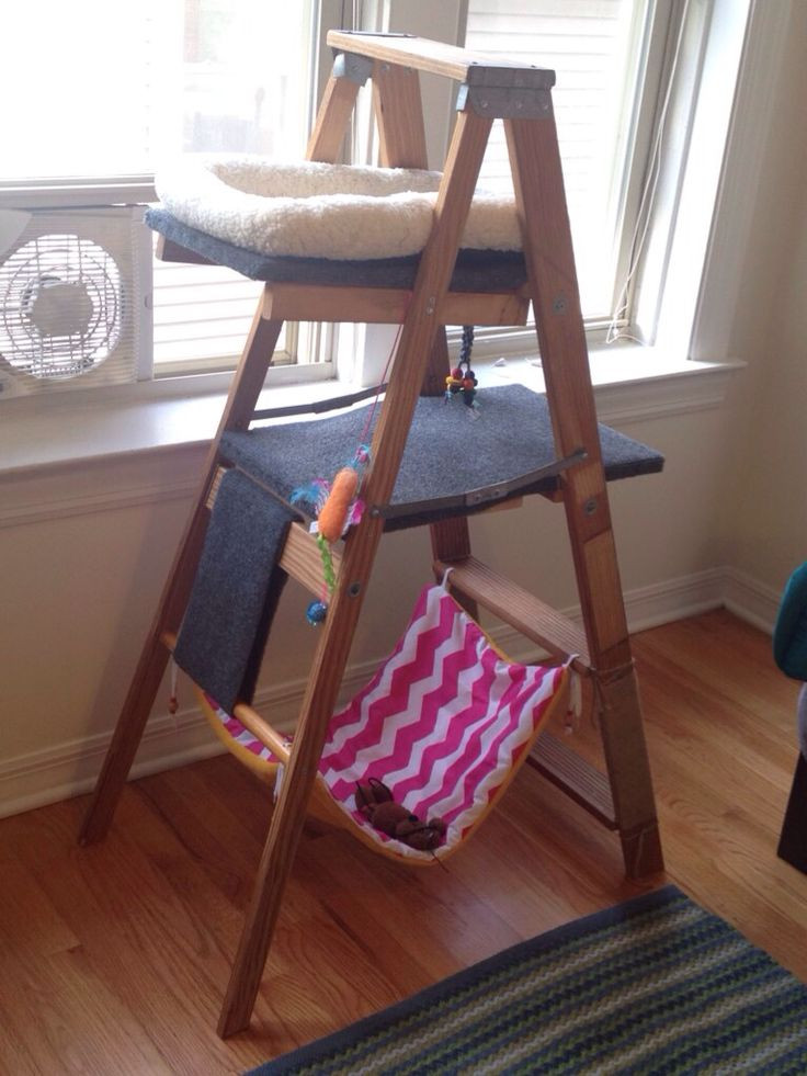 Best ideas about Cat Furniture DIY
. Save or Pin DIY cat tree made from an old wooden ladder outdoor Now.