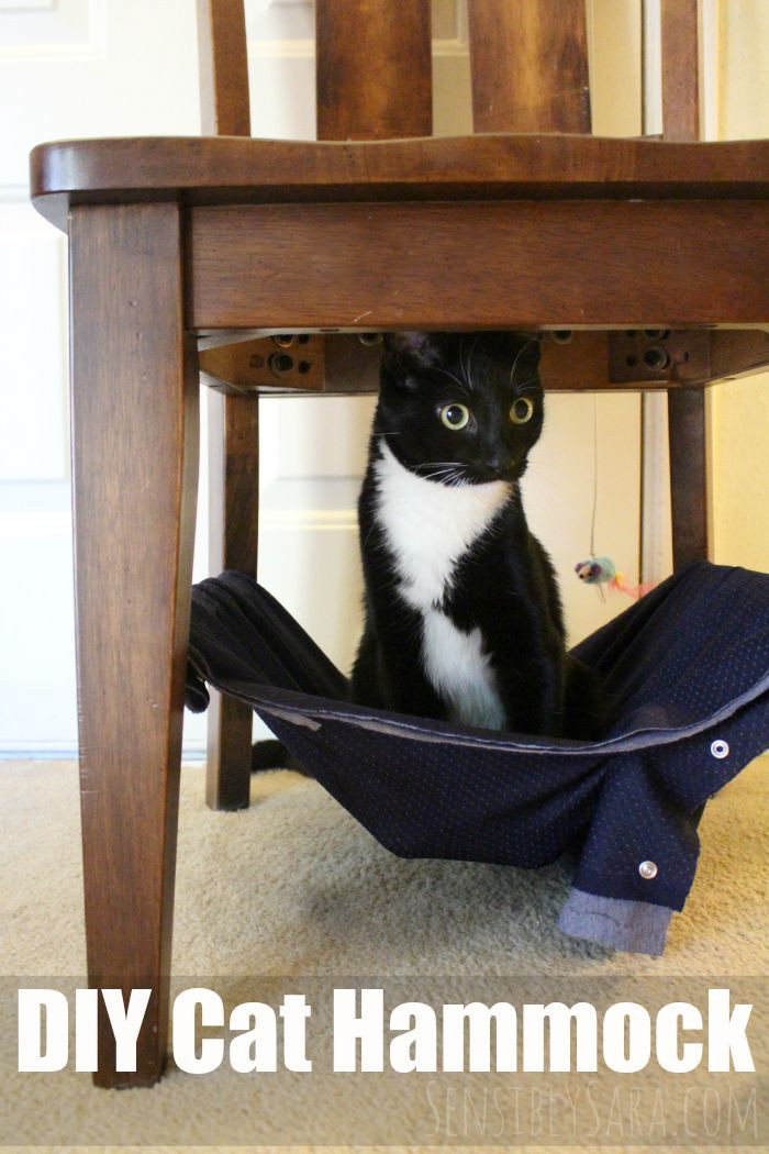 Best ideas about Cat Hammock DIY
. Save or Pin Pamper Your Pet with a DIY Cat Hammock ad PetsLoveBeyond Now.
