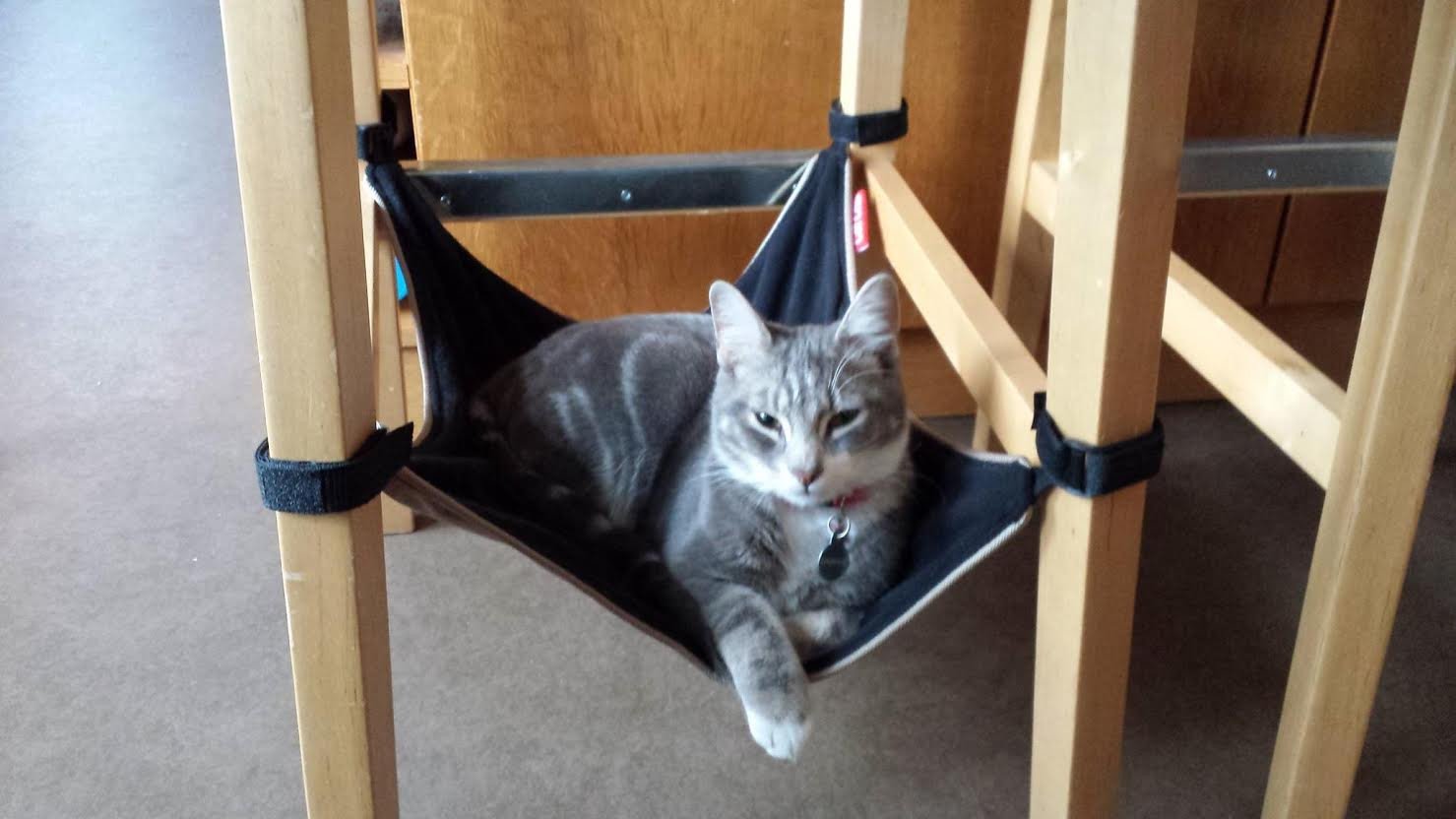 Best ideas about Cat Hammock DIY
. Save or Pin Diy Cat Hammock Idea Kitchens Inspiration Now.