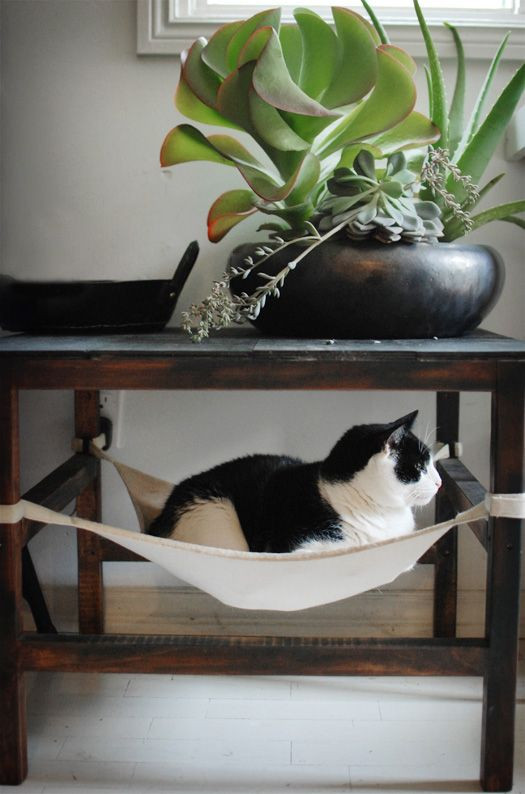 Best ideas about Cat Hammock DIY
. Save or Pin Cat Couture 12 DIY Designs for your Favorite Feline Now.