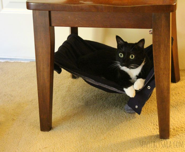 Best ideas about Cat Hammock DIY
. Save or Pin Pamper Your Pet with a DIY Cat Hammock ad PetsLoveBeyond Now.