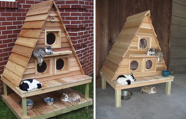 Best ideas about Cat House Plans DIY
. Save or Pin 10 Amazing Cat Structures Neatorama Now.