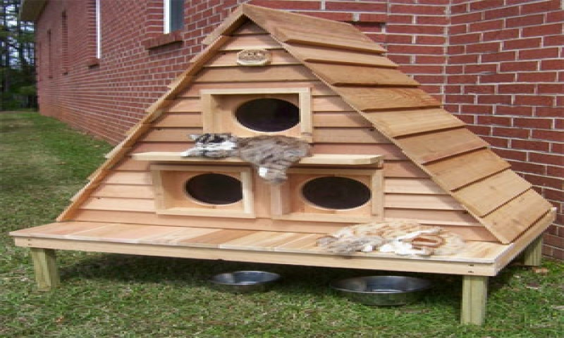Best ideas about Cat House Plans DIY
. Save or Pin Plans for Outdoor Winter Cat Houses Outdoor Cat House Now.