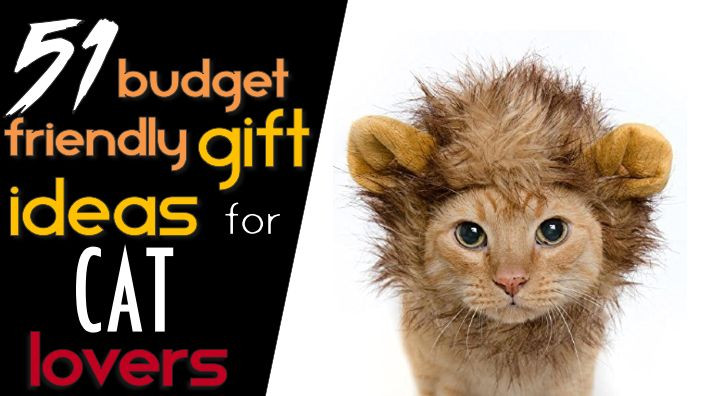 Best ideas about Cat Lovers Gift Ideas
. Save or Pin 51 Bud Friendly Gift Ideas for Cat Lovers – Lovers Gift Now.