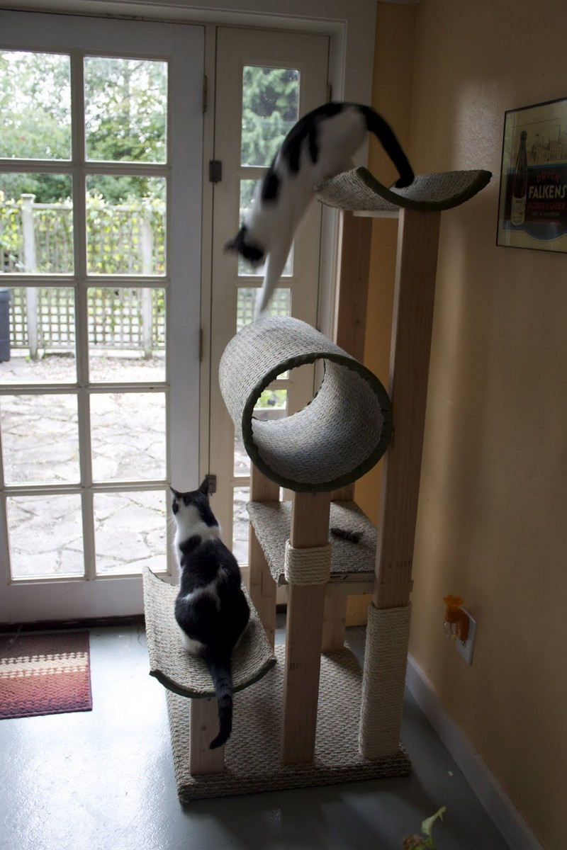 Best ideas about Cat Scratching Post DIY
. Save or Pin How To Build A Cat Tower From Scratch Now.