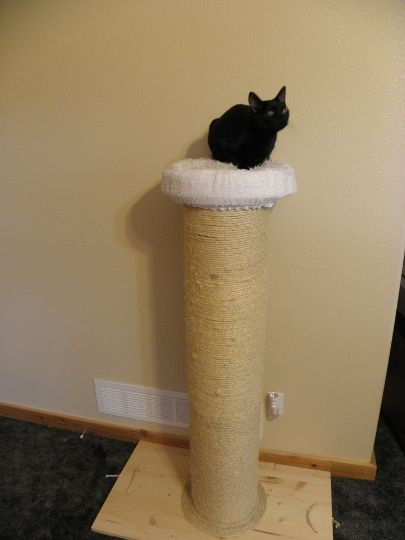 Best ideas about Cat Scratching Post DIY
. Save or Pin Best Cat Scratching Post Ever AND Cat Weight loss Device Now.