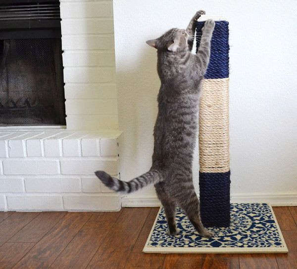 Best ideas about Cat Scratching Post DIY
. Save or Pin 19 Creative DIY Projects Featuring Rope Now.