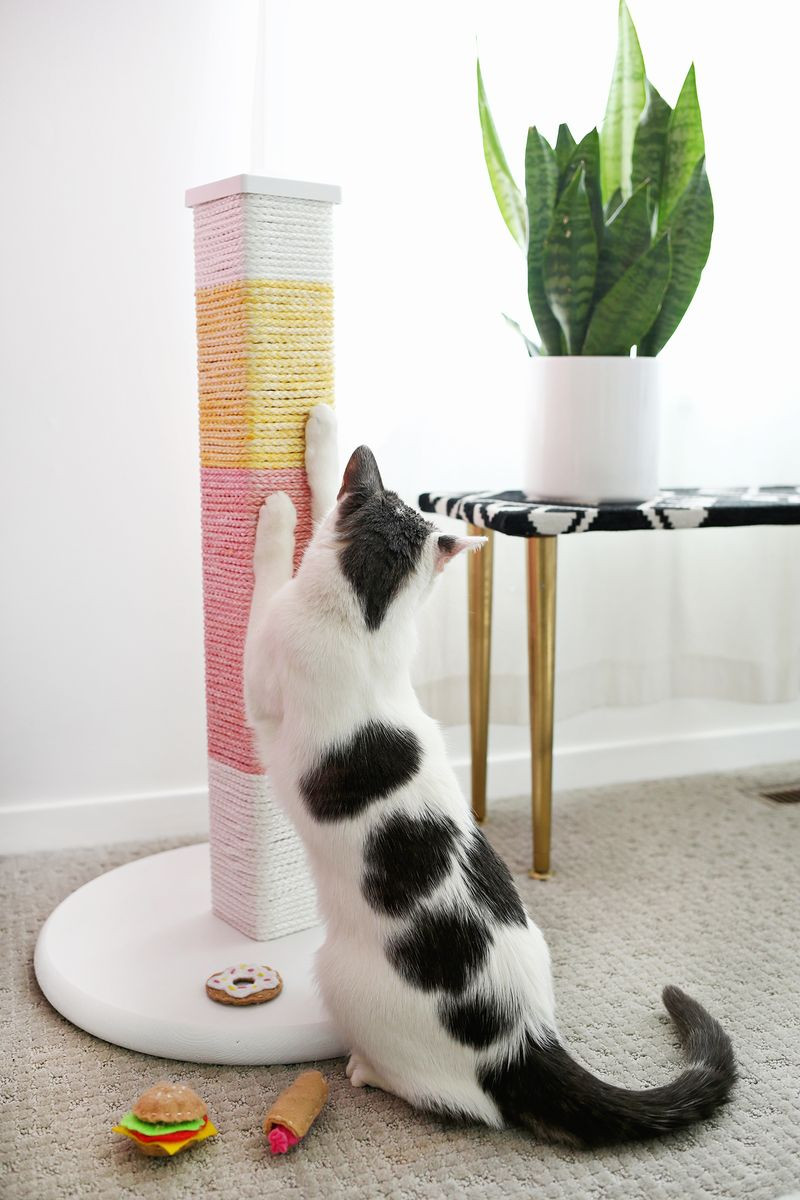 Best ideas about Cat Scratching Post DIY
. Save or Pin Colorblocked Scratching Post DIY – A Beautiful Mess Now.