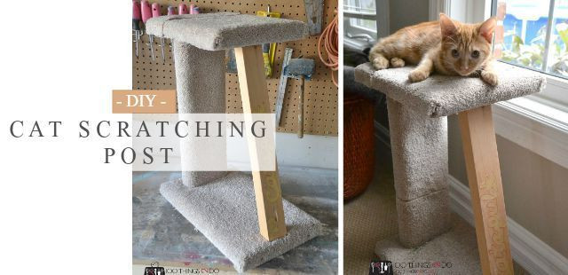 Best ideas about Cat Scratching Post DIY
. Save or Pin DIY Cat Scratching Post Easy DIY Now.