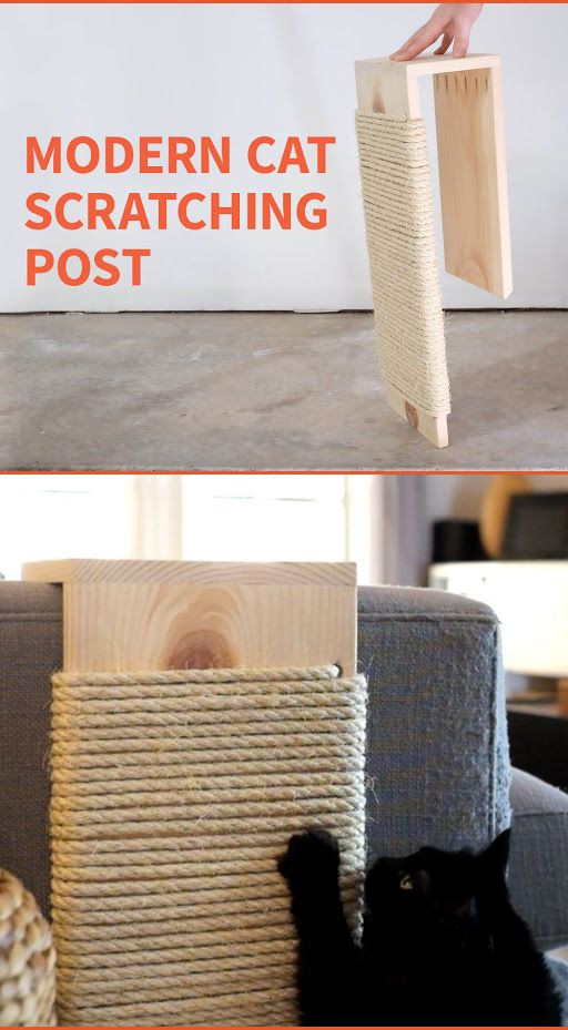 Best ideas about Cat Scratching Post DIY
. Save or Pin DIY Modern Cat Scratching Post Projects for Pets Now.