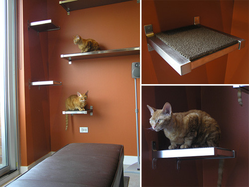 Best ideas about Cat Shelves DIY
. Save or Pin Keaton and Scoochie Build Their Own DIY Cat Climbing Now.