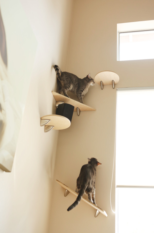 Best ideas about Cat Shelves DIY
. Save or Pin Giggly cats Catification Now.