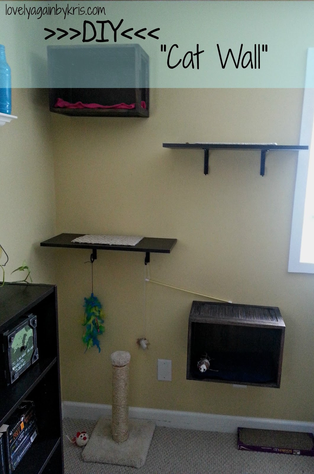 Best ideas about Cat Shelves DIY
. Save or Pin Best Woodworking Planer Reviews Plans to Making Cat Now.
