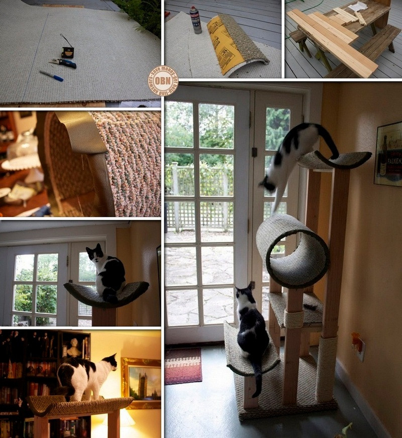 Best ideas about Cat Tower DIY
. Save or Pin DIY Cat Tower Now.