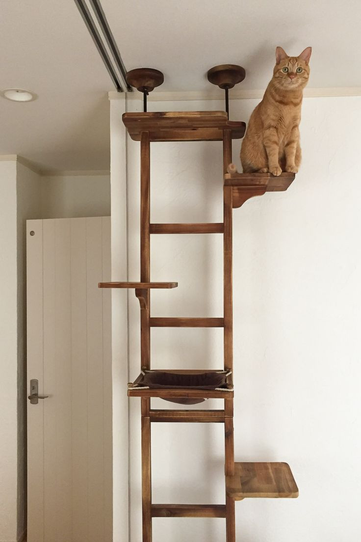 Best ideas about Cat Tower DIY
. Save or Pin Best 25 cat tree ideas on Pinterest Now.