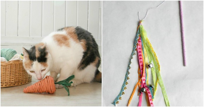 Best ideas about Cat Toys DIY
. Save or Pin 15 Easy DIY Cat Toys You Can Make for Your Kitty TODAY Now.