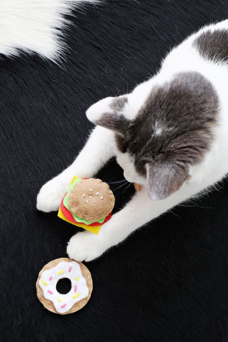 Best ideas about Cat Toys DIY
. Save or Pin Junk Food Cat Toy DIY – A Beautiful Mess Now.