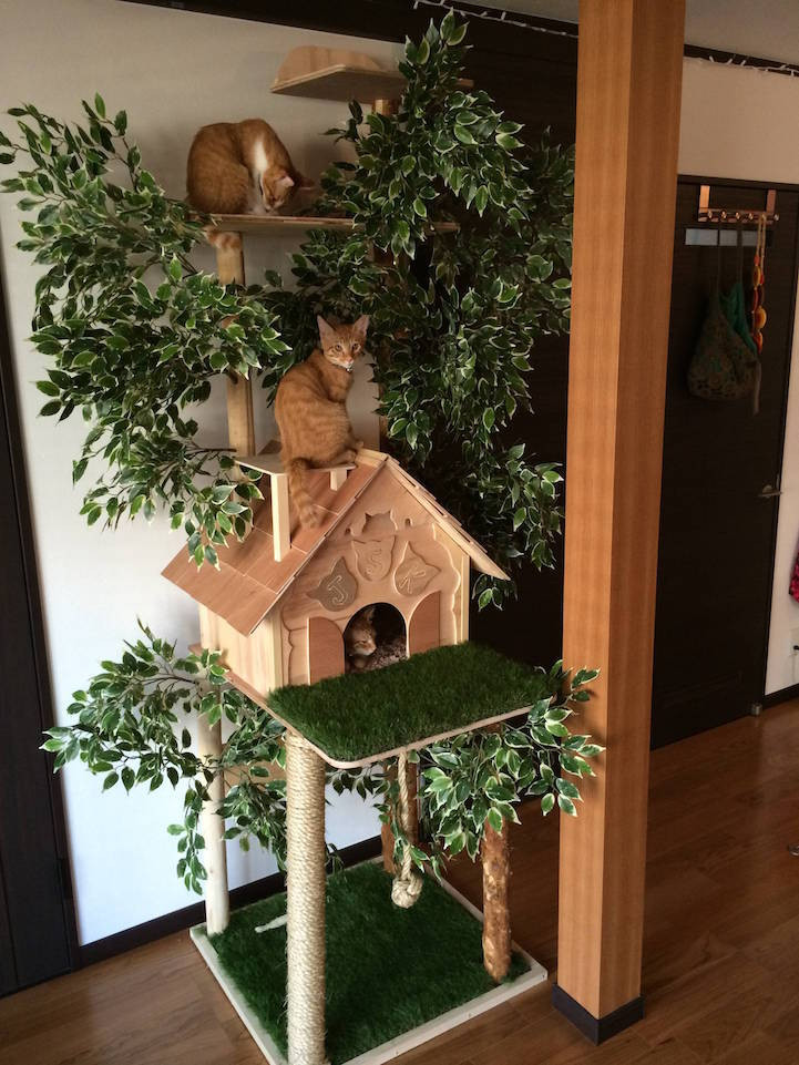 Best ideas about Cat Tree DIY
. Save or Pin DIY Cat Tree fers a Creative Alternative to Conventional Now.