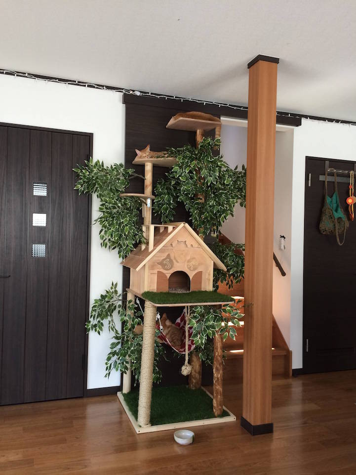 Best ideas about Cat Tree DIY
. Save or Pin DIY Cat Tree fers Alternative to Conventional Scratching Now.