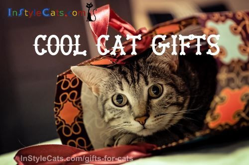 Best ideas about Cats Gift Ideas
. Save or Pin 25 best Gifts for cats ideas on Pinterest Now.