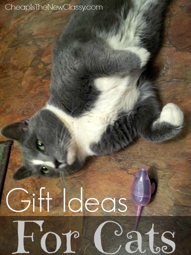 Best ideas about Cats Gift Ideas
. Save or Pin Christmas Gift Ideas For Cats Now.