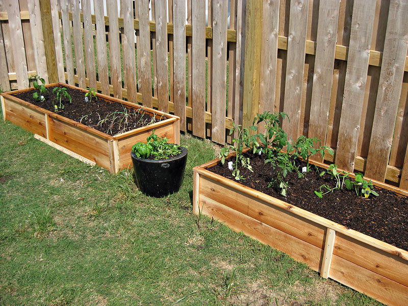 Best ideas about Cedar Raised Garden Beds DIY
. Save or Pin Ana White Now.
