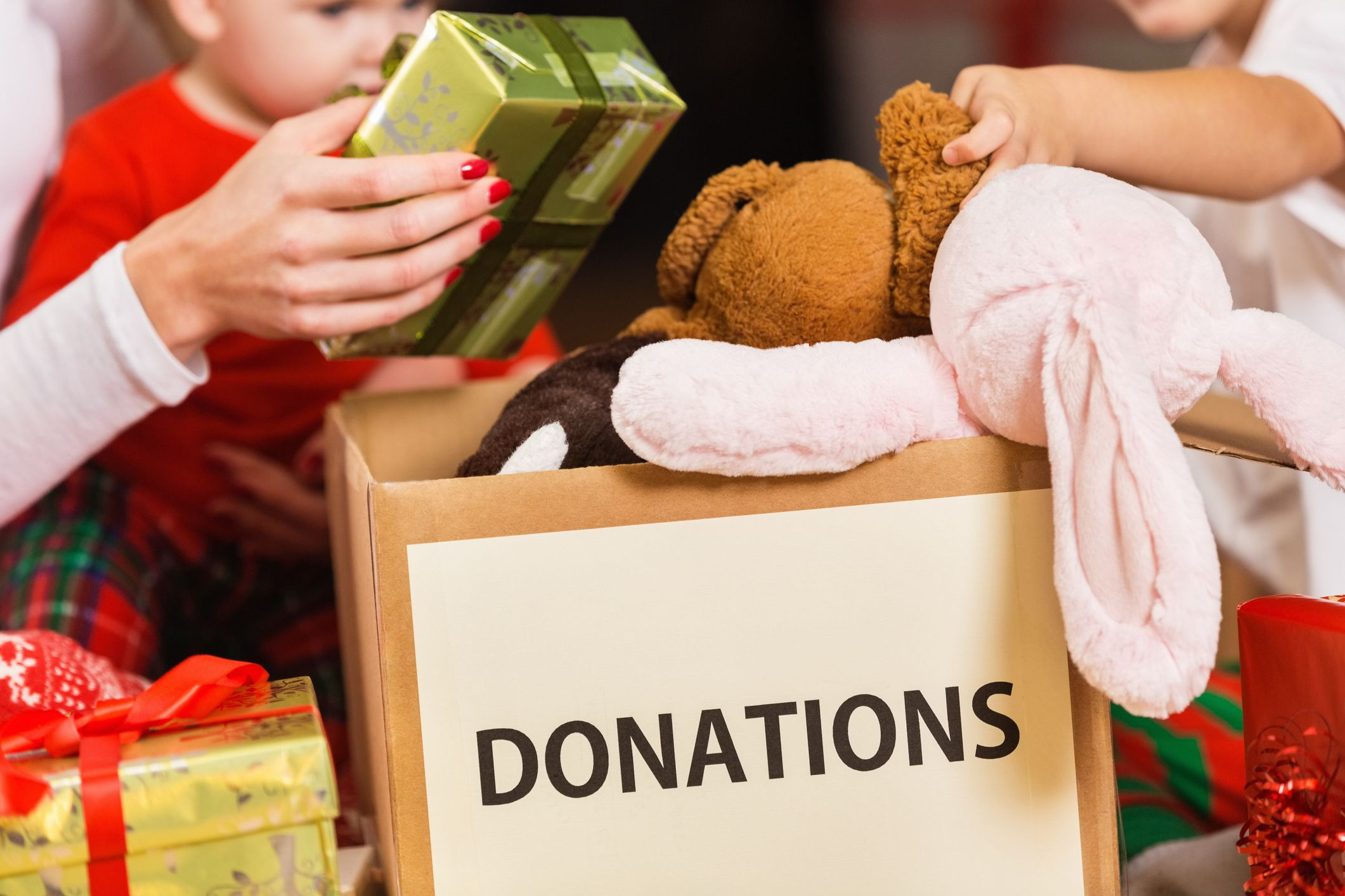Best ideas about Charitable Gift Ideas
. Save or Pin Charitable Giving Tips for the Holidays Now.
